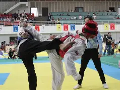 3377-关于跆拳道超级杯掀起高潮，闽南巨龙队翻盘吴越迅豹队，战至最后一刻——逆风翻盘的范本的信息